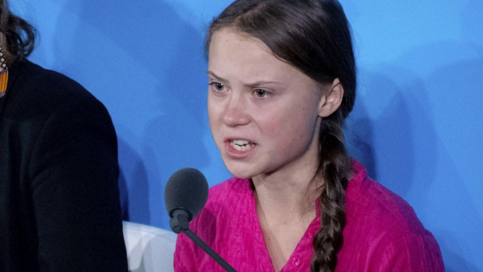 Image result for greta thunberg