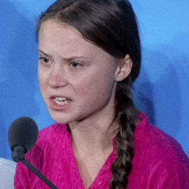 PHOTO: VIDEO: Climate activist Greta Thunberg lashes out at world leaders