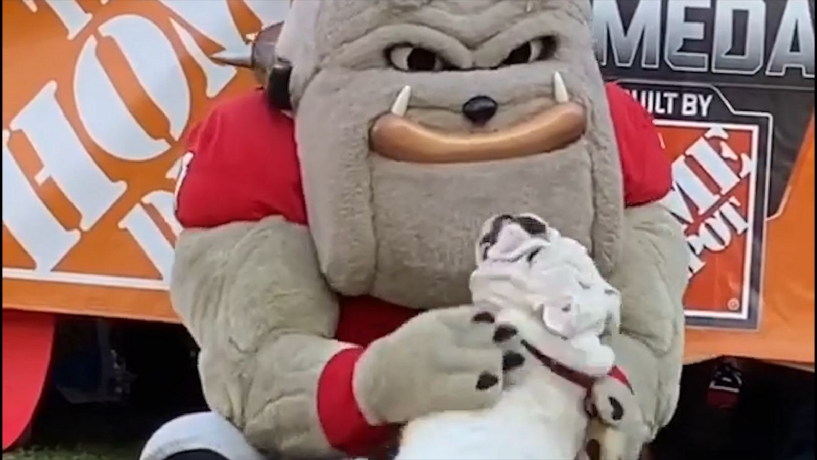 VIDEO: Bulldog so excited to meet his twinning mascot