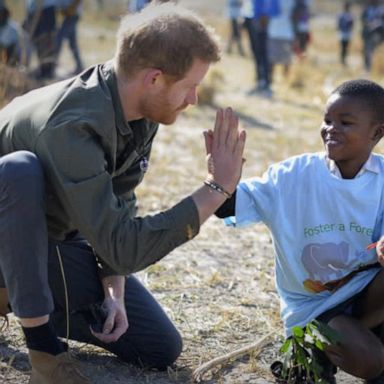 VIDEO: Sussexes go their separate ways to events on royal road trip