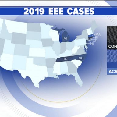 VIDEO: What to know about the threat of EEE