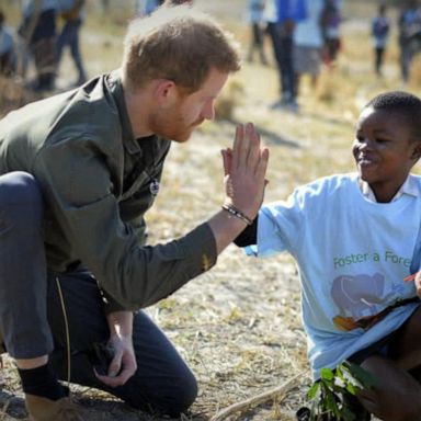 VIDEO: Royal couple concentrating on highlighting issues dear to their heart