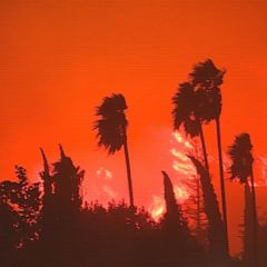 Multiple fires break out across California