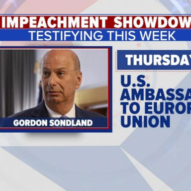 VIDEO: Ambassador to testify as impeachment inquiry heats up