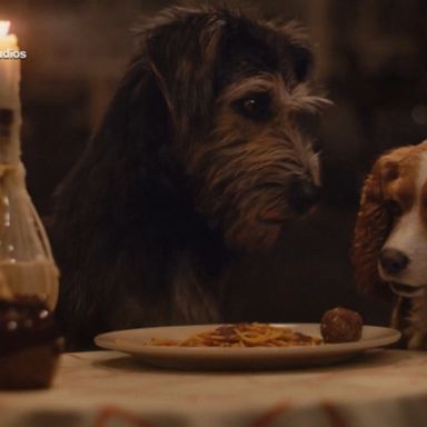 “Lady and the Tramp” premieres Nov. 12 streaming only on Disney+.