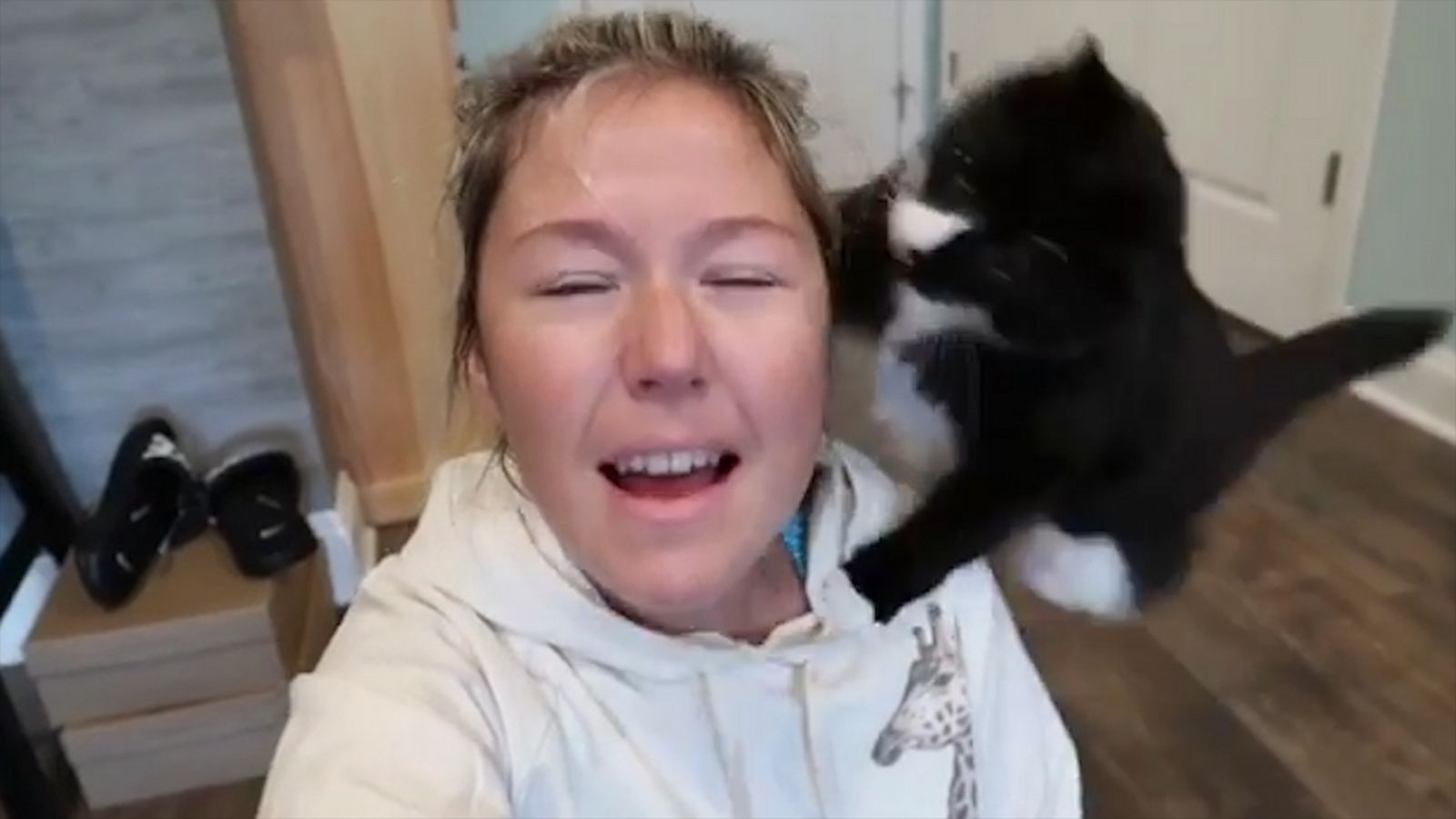 VIDEO: Everyone’s a critic: Cat jumps on mom's face every time she sings