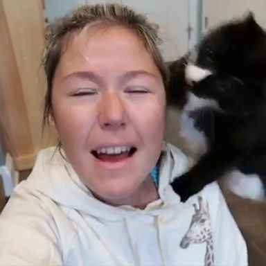 VIDEO: Everyone’s a critic: Cat jumps on mom's face every time she sings