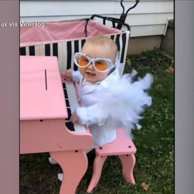 VIDEO: This baby dressed as Elton John will make your day