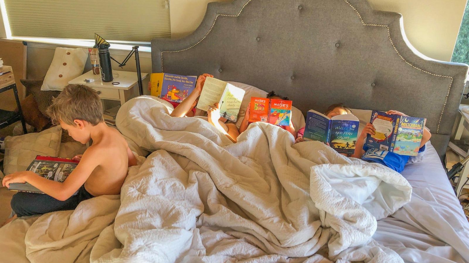 PHOTO: Molly DeFrank's children lying in bed and reading.