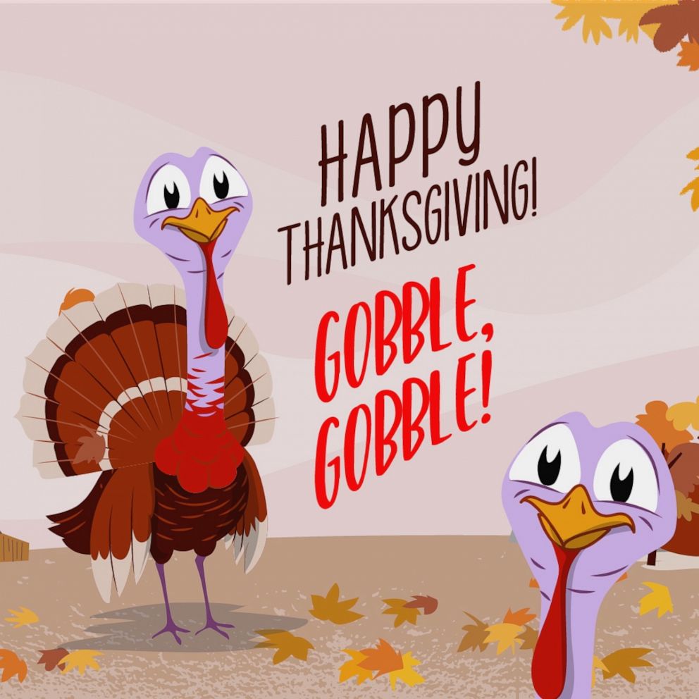 VIDEO: Thanksgiving 2019 by the numbers: Americans to gobble close to 40 million turkeys this year