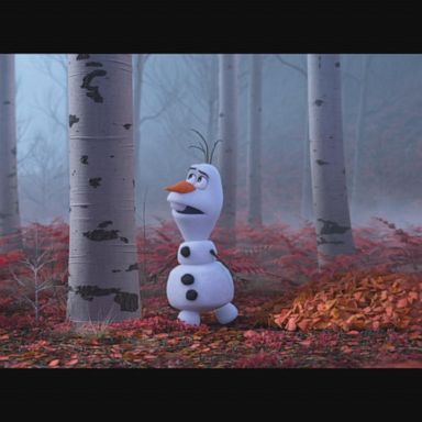 VIDEO: ‘Frozen II’ has biggest box office opening ever for animated feature 