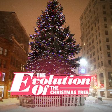 VIDEO: Evolution of the Christmas tree 