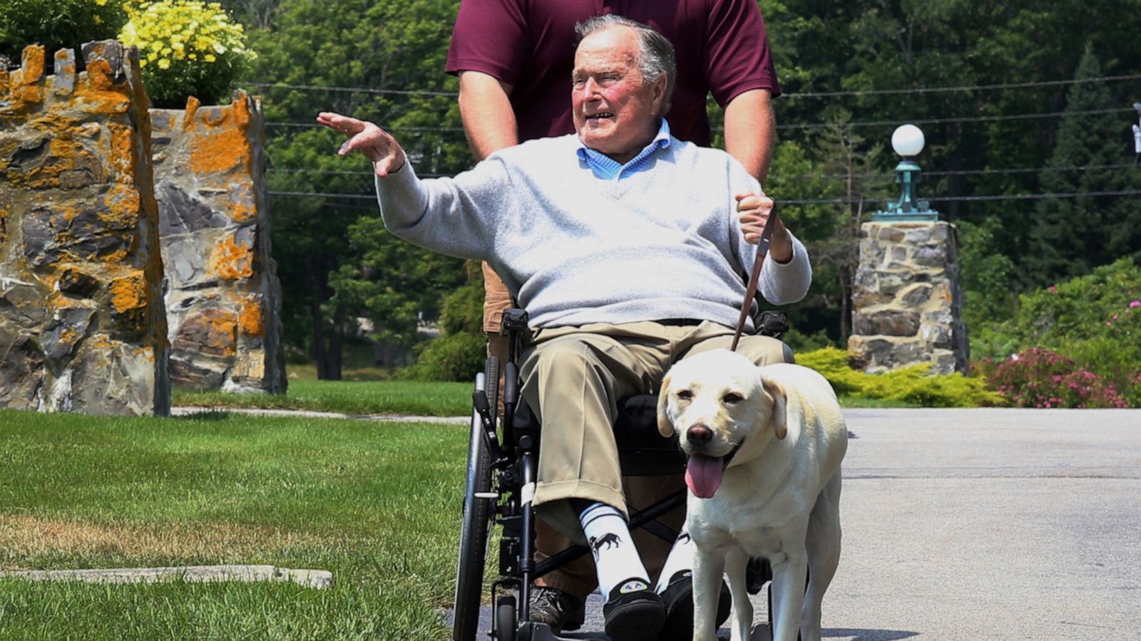 video: Statue commemorates President George H.W. Bush's service dog, Sully