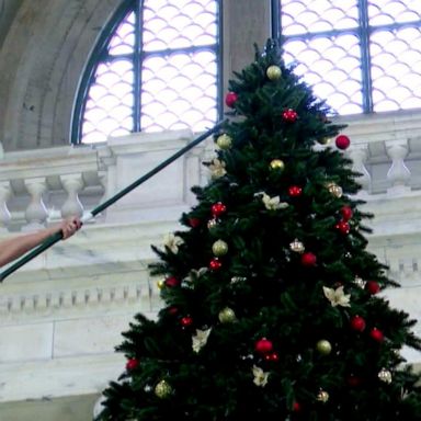 VIDEO: Outrage over new Christmas tree unveiled at state capital