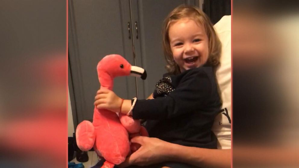 Little Girl S Joyful Reaction To Toy Flamingo Video Abc News