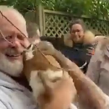 VIDEO: Man has the sweetest reunion with his rescued dog 