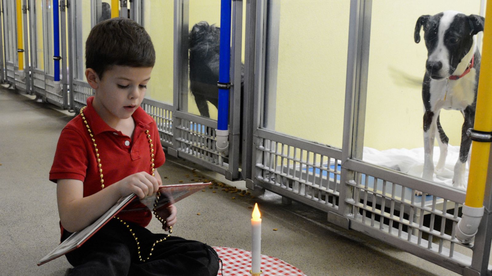 VIDEO: Children read holiday 'tails' at shelter to help dogs get adopted