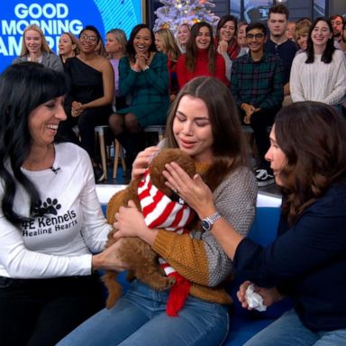 PHOTO: VIDEO: Teen living with diabetes surprised with puppy for Christmas