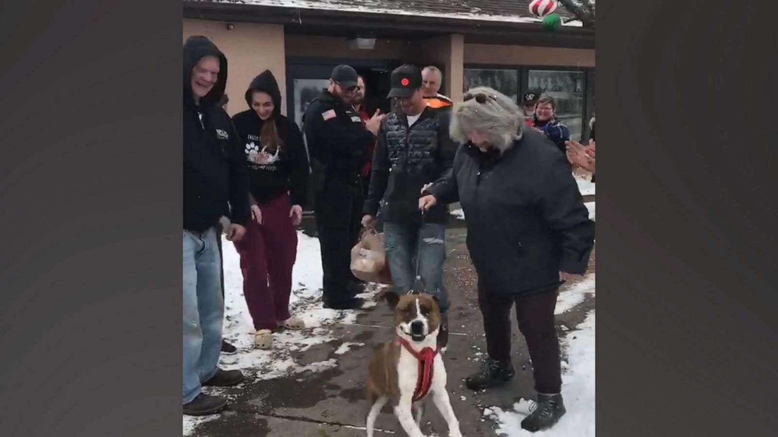 VIDEO: Dog is ecstatic after getting a home for Christmas after 500 days in the shelter