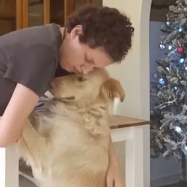 VIDEO: Emotional support dog comforts owner suffering a panic attack