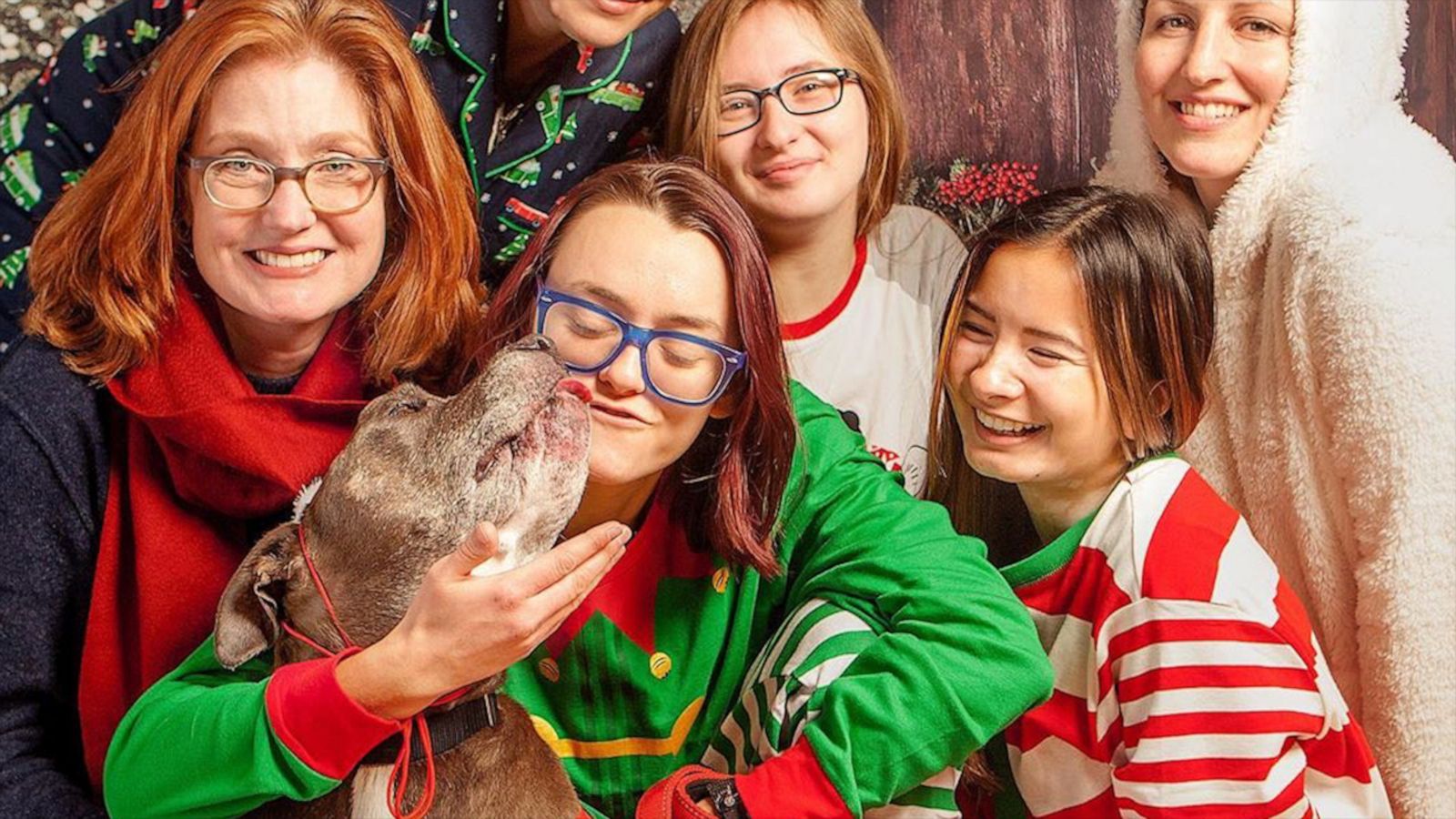 VIDEO: Shelter goes all out to create Christmas photo for a dog to help find her forever home