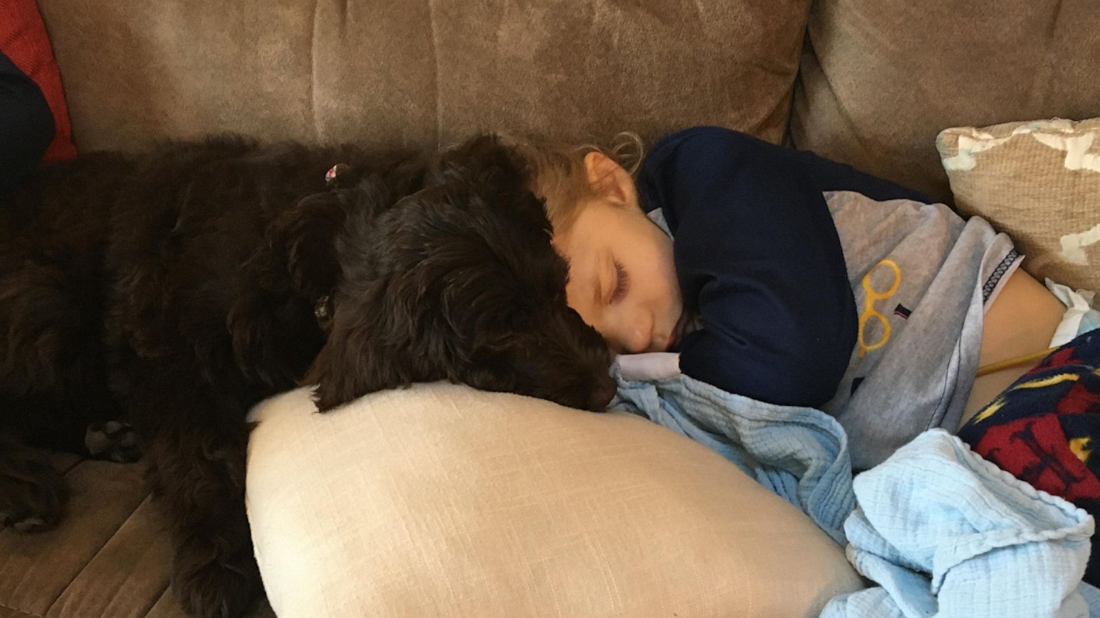 2-year-old heart recipient is given puppy from stranger - Good Morning ...