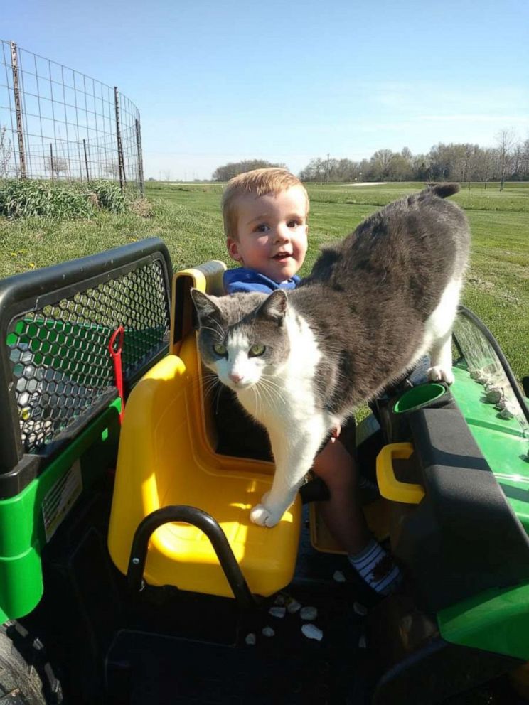 PHOTO: Brody Moreland, 2, poses with his cat in an undated photo. 