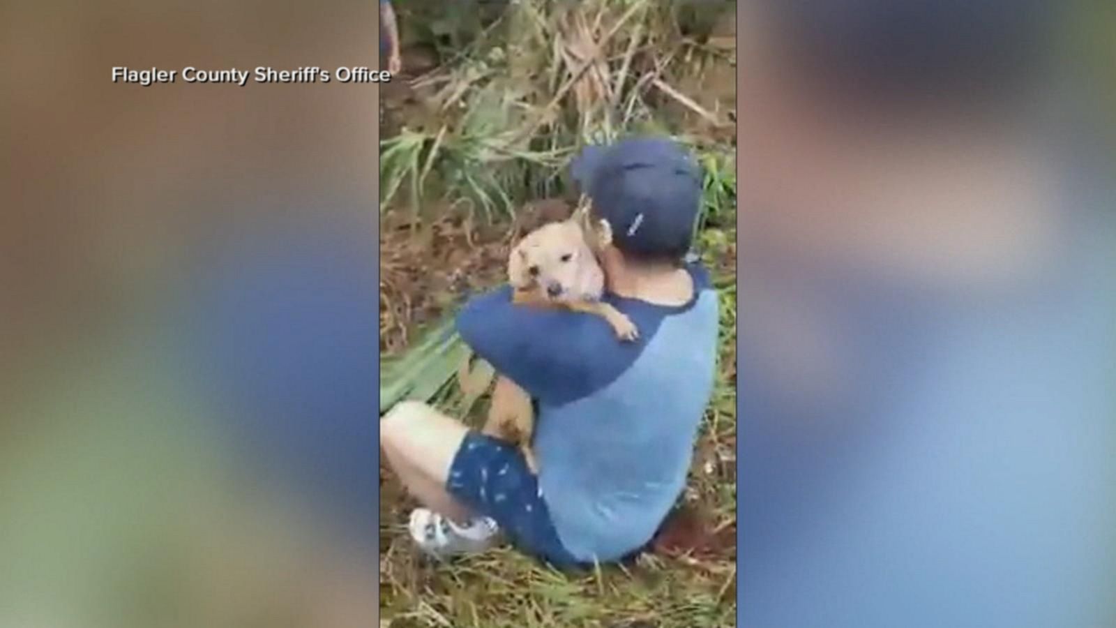 VIDEO: Lost dog reunited after New Year's Eve car accident