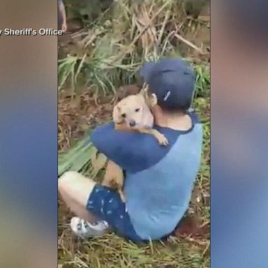 VIDEO: Lost dog reunited after New Year's Eve car accident