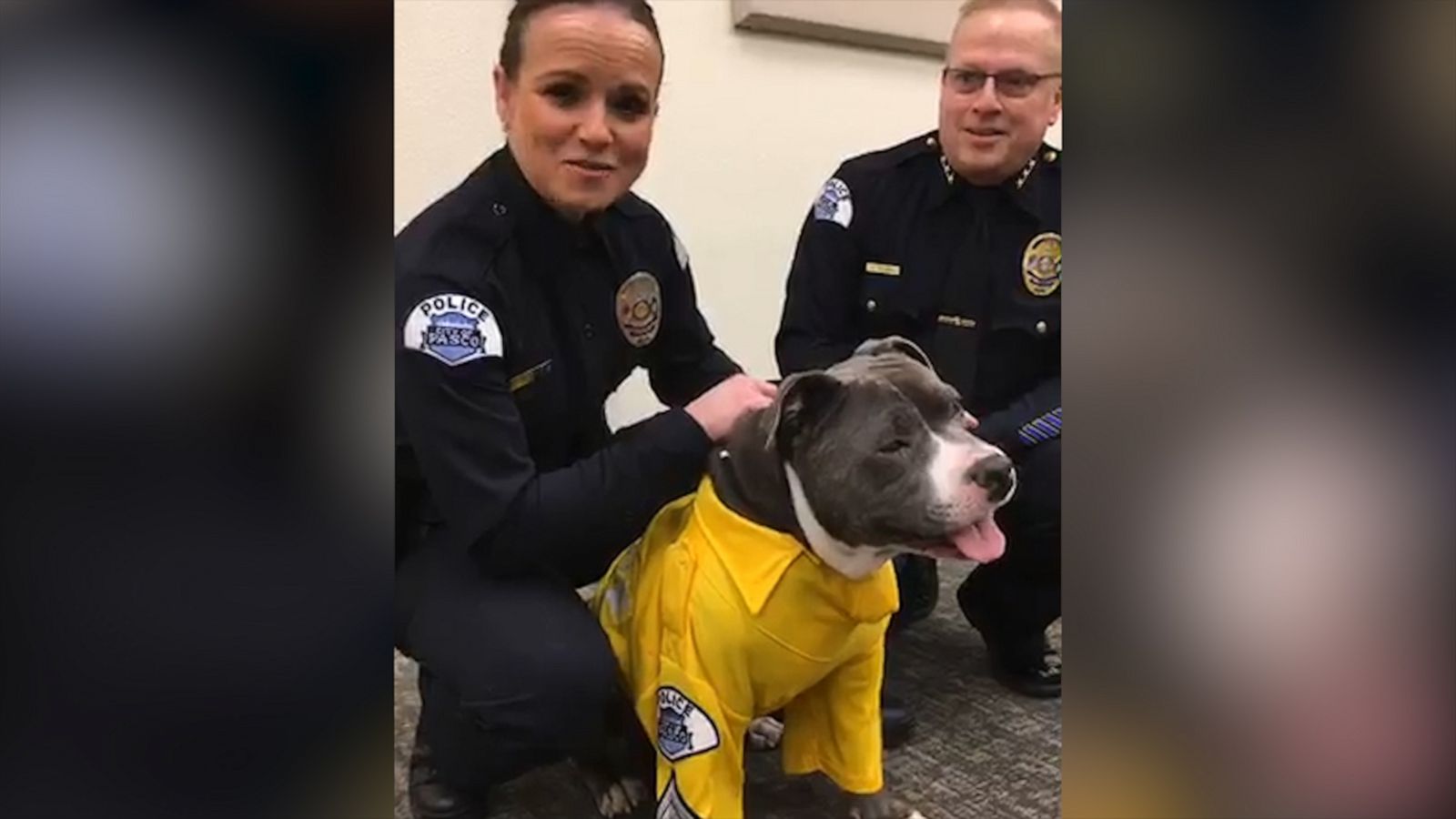 VIDEO: Police help terminally ill pup fulfill his bark-et list, make him K-9 for a day