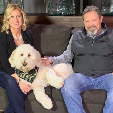 VIDEO: Deacon the Goldendoodle is ‘GMA’ Pet of the Week