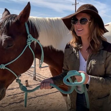 VIDEO: I tried horse therapy and it changed the way I see my life 