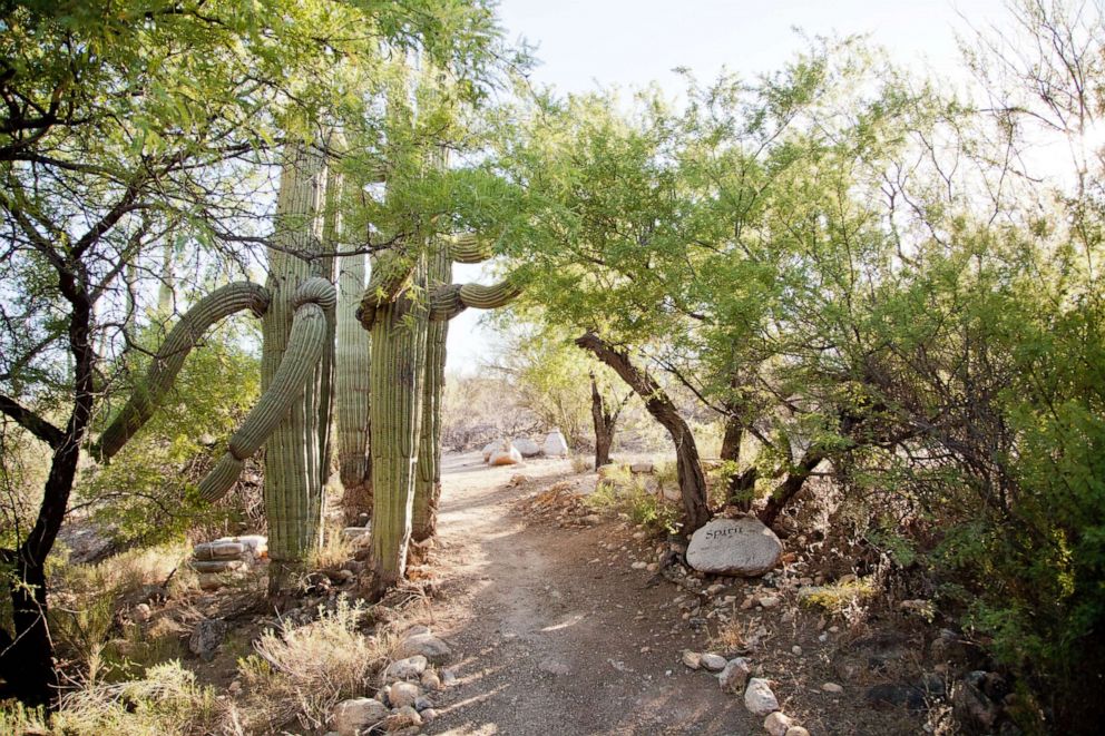 PHOTO: Canyon Ranch in Tucson, Arizona. 