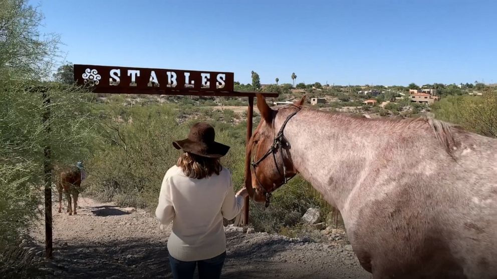 PHOTO: Equine retreat in Tucson, Arizona. 