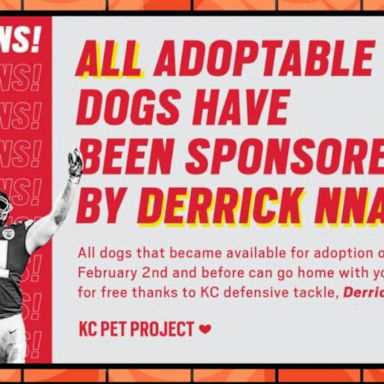 VIDEO: Kansas City Chiefs player pays off adoption fees for dogs