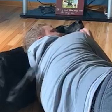 VIDEO: That’s the spot! This dog scratches his owner’s back 