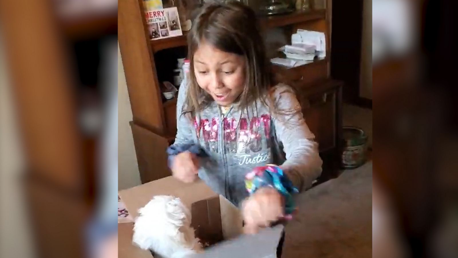 VIDEO: Girl cries tears of joy after being surprised with puppy