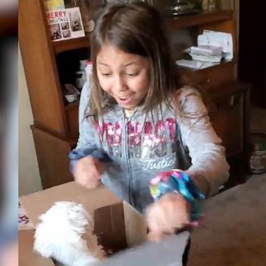 VIDEO: Girl cries tears of joy after being surprised with puppy