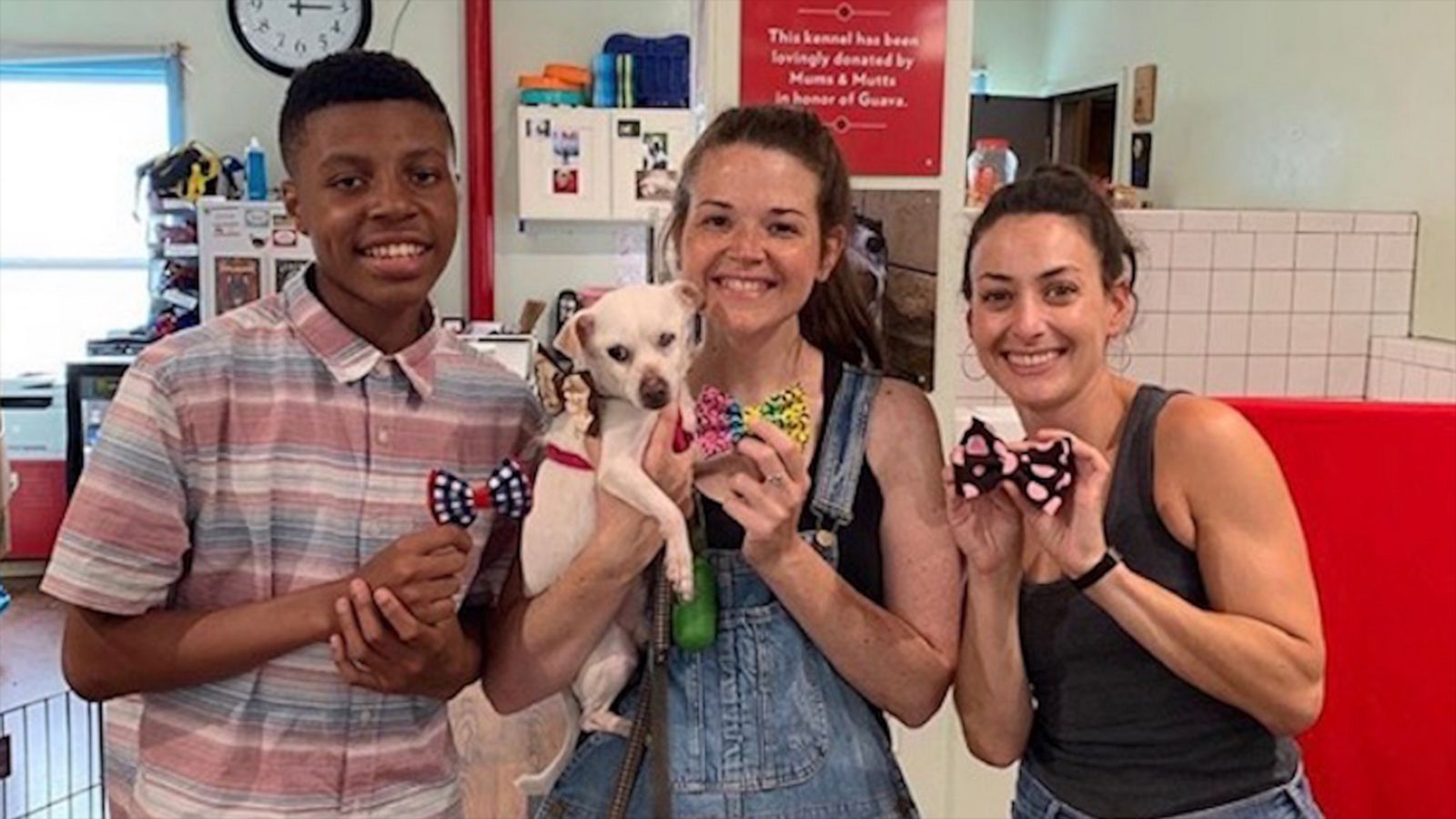 VIDEO: Boy sews bow ties in adorable effort to help shelter animals get adopted