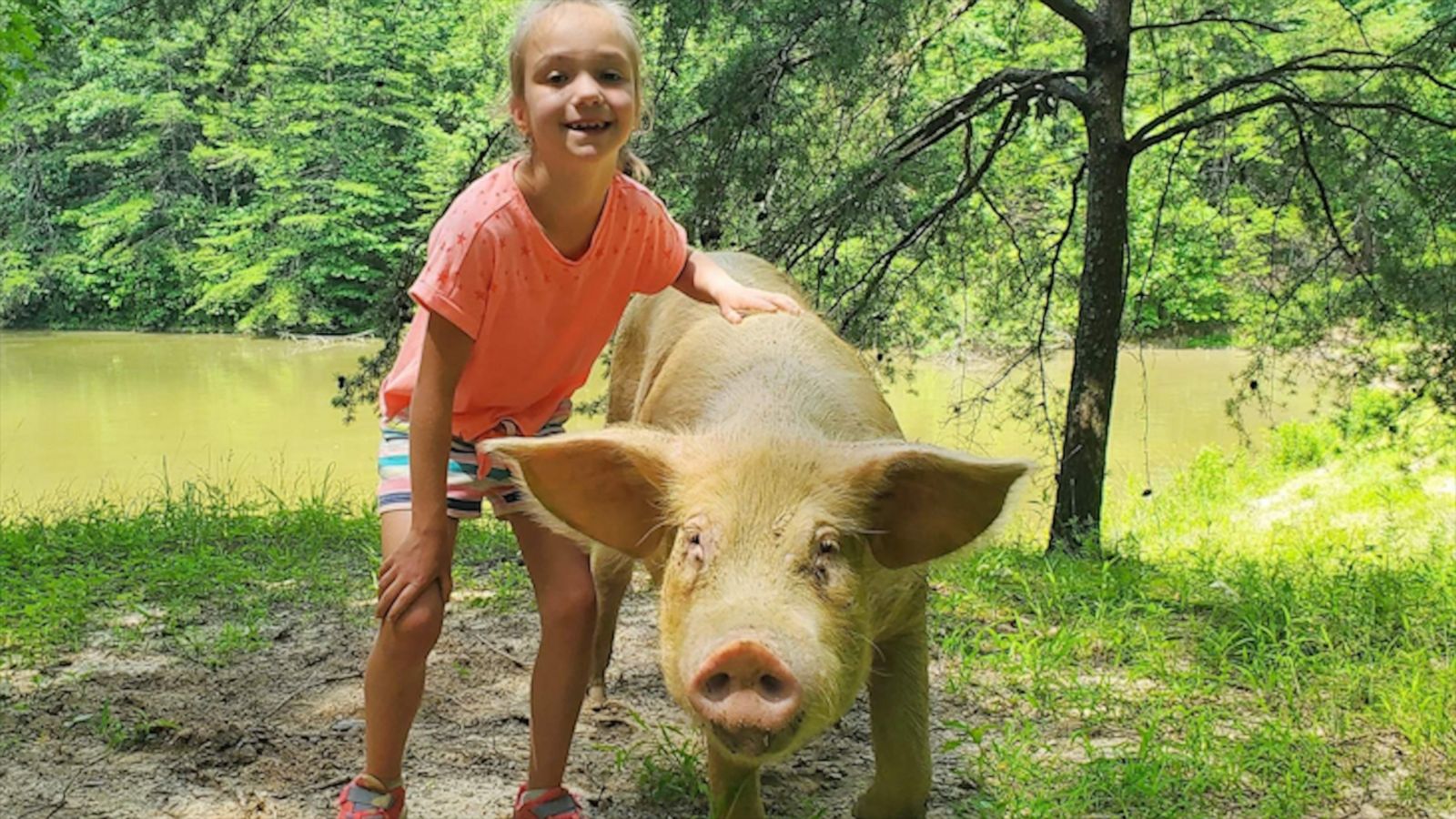 VIDEO: 3rd grader starts organization to save unwanted pet pigs