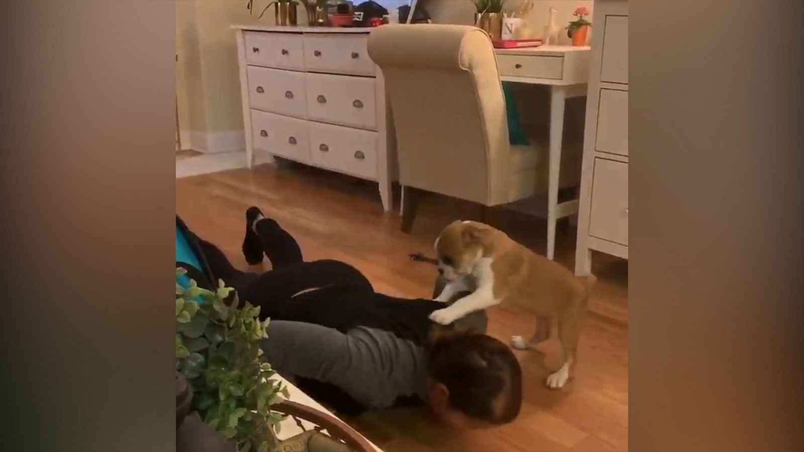 VIDEO: This woman’s pup is the best coronavirus quarantine workout buddy