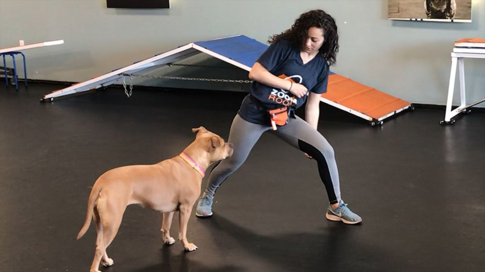 VIDEO: Here’s how to work out with your dog at home