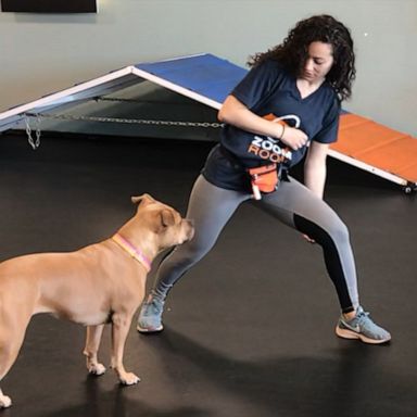 VIDEO: Here’s how to work out with your dog at home