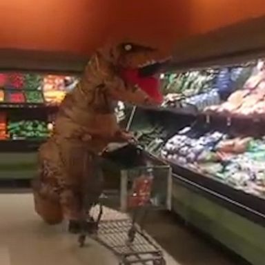 VIDEO: Grocery shopper dresses as T. rex in a unique way to social distance