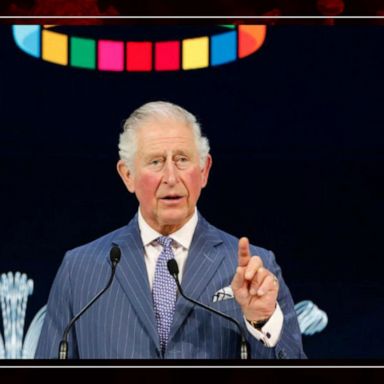 VIDEO: Prince of Wales tests positive for coronavirus