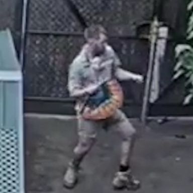 VIDEO: We are going wild over this zookeeper dancing 