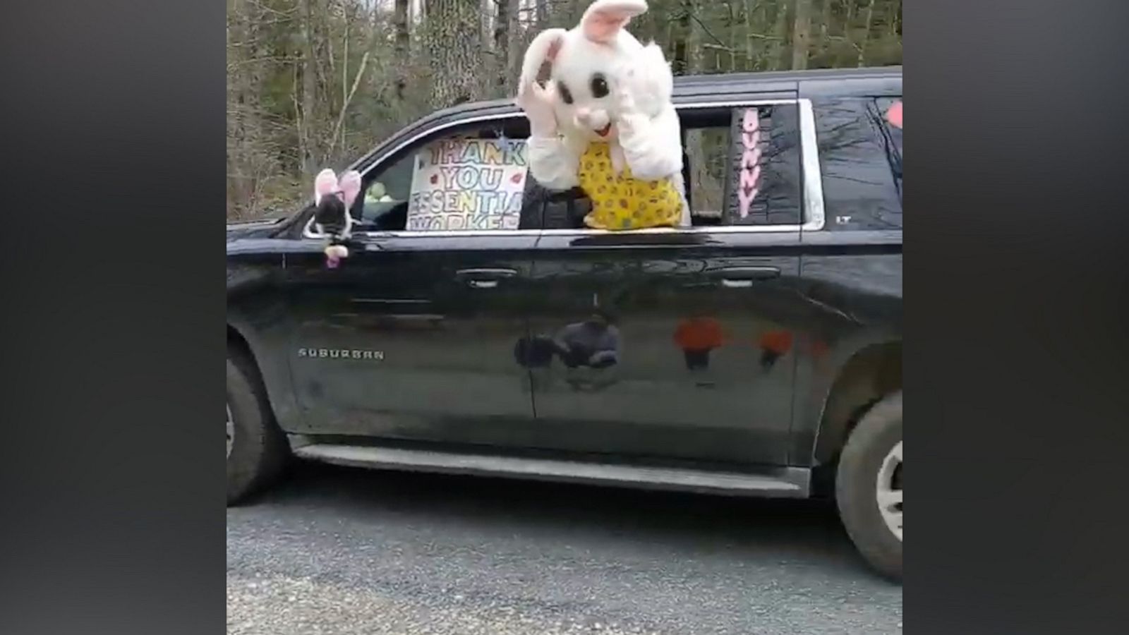 VIDEO: This Easter bunny drive-by is getting us into the Easter spirit