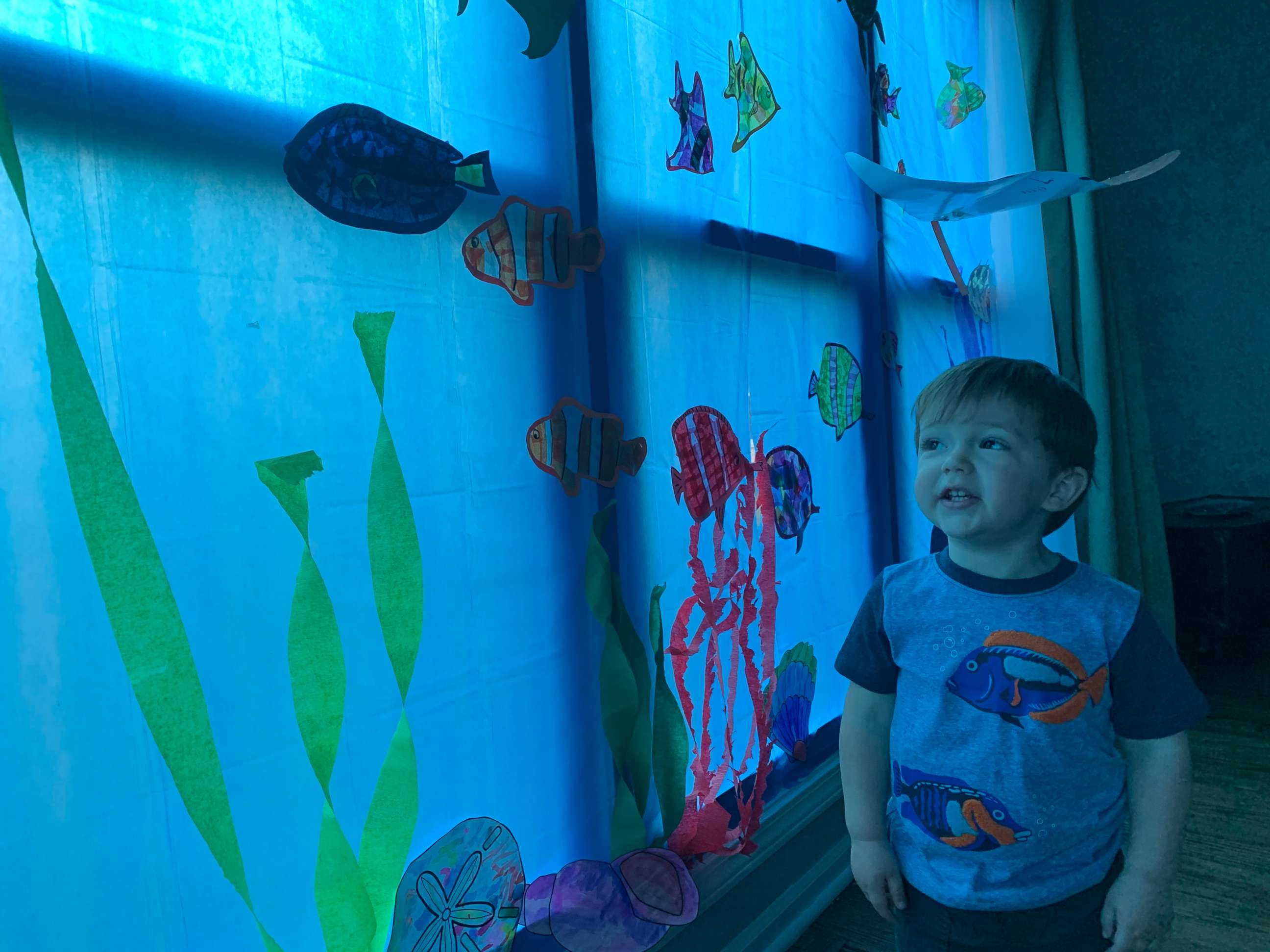 PHOTO: 2-year-old Clark takes in his new "aquarium" after mom Becky Spagnuolo transformed their house for his birthday.