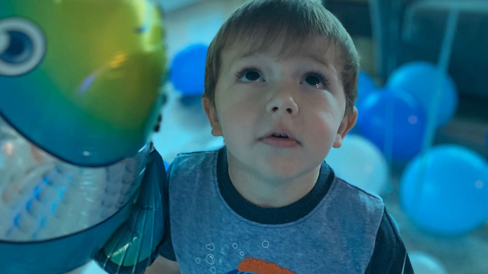 PHOTO: 2-year-old Clark takes in his new "aquarium" after mom Becky Spagnuolo transformed their house for his birthday.