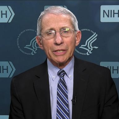 VIDEO: White House coronavirus official reviews latest approach to reopening US 